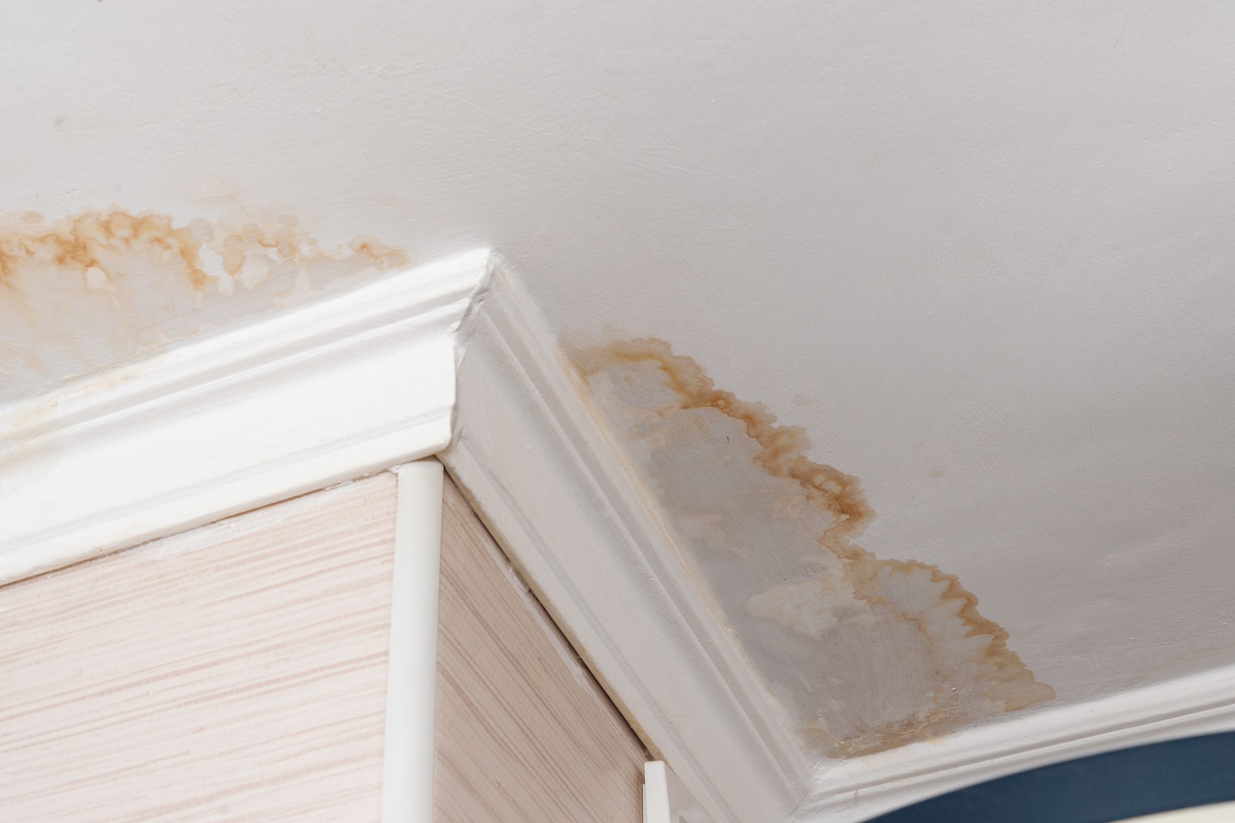 Signs of a Plumbing Emergency: How to Tell If You Need a 24/7 Plumber Tonight