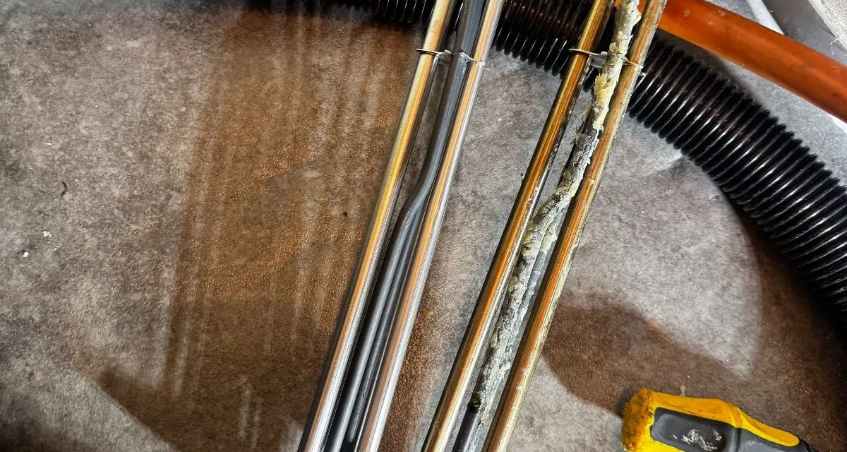 Immersion Heater Not Working? Causes and Fixes (UK)