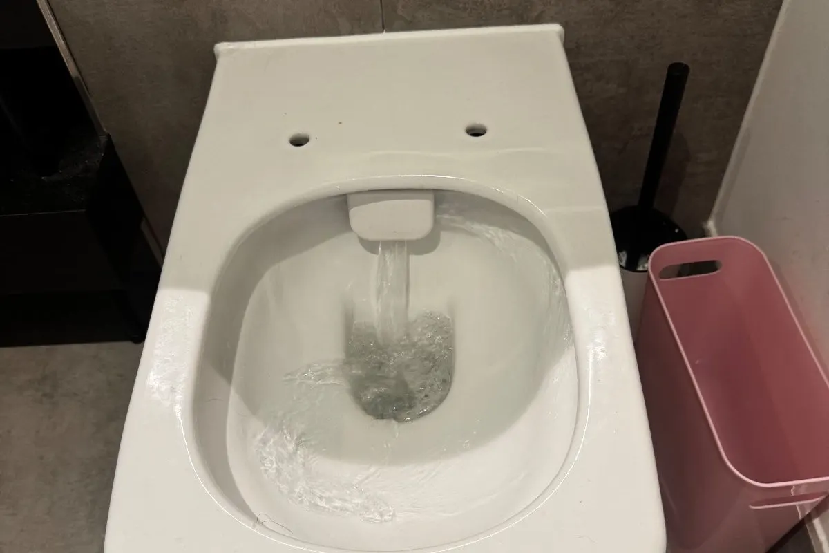 Toilet Keeps Running? How to Stop It (UK Cistern Guide)